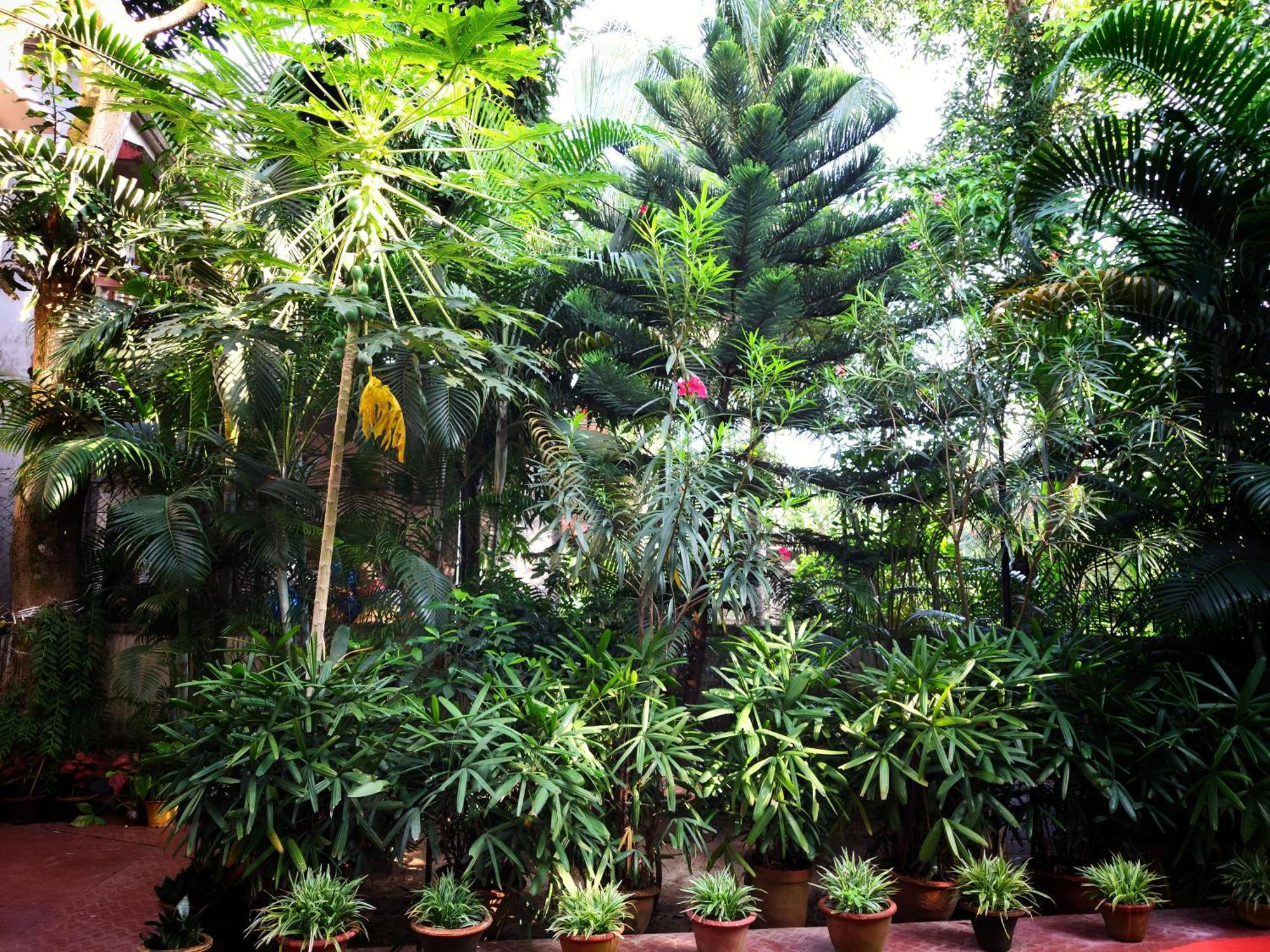 Chaiti Eco Homestay- Santiniketan Bolpur Luaran gambar