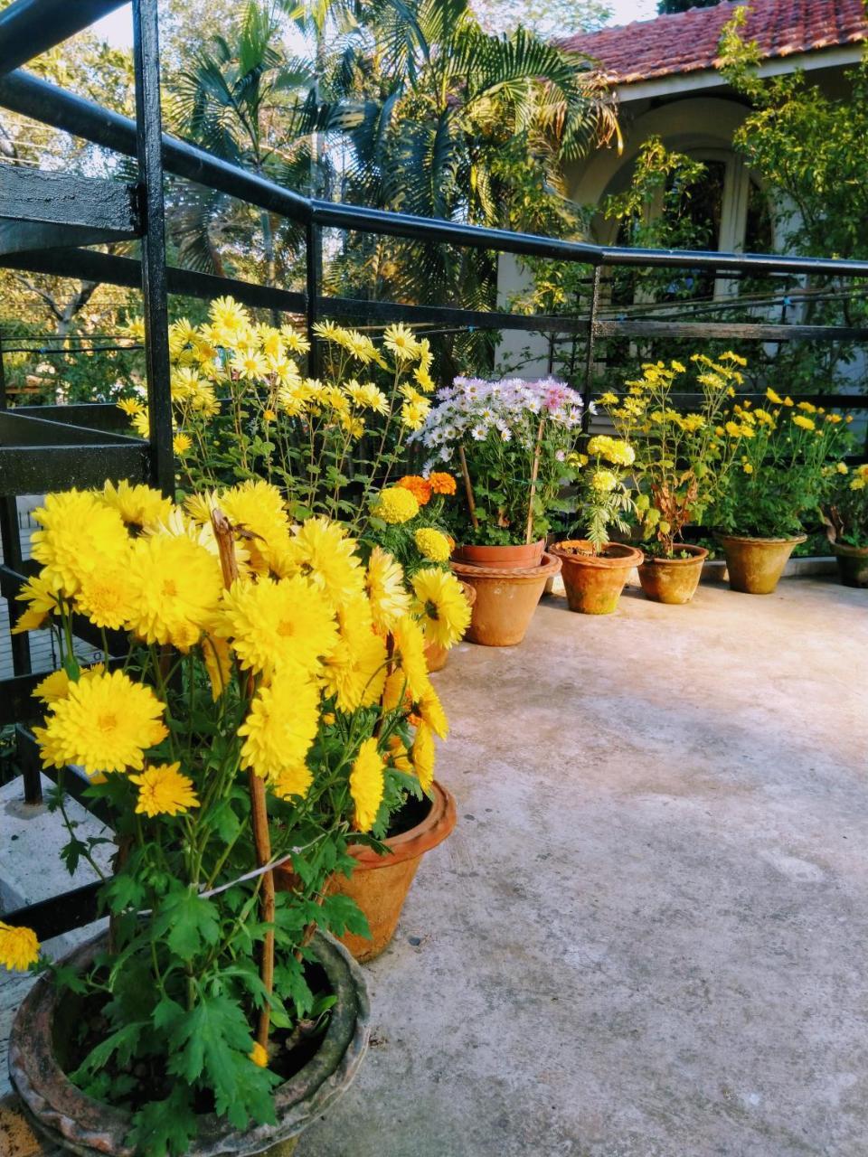Chaiti Eco Homestay- Santiniketan Bolpur Luaran gambar